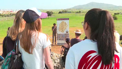 Estudiantes de la Universidad de Nueva York aprenden el oficio de pastor en Colmenar Viejo