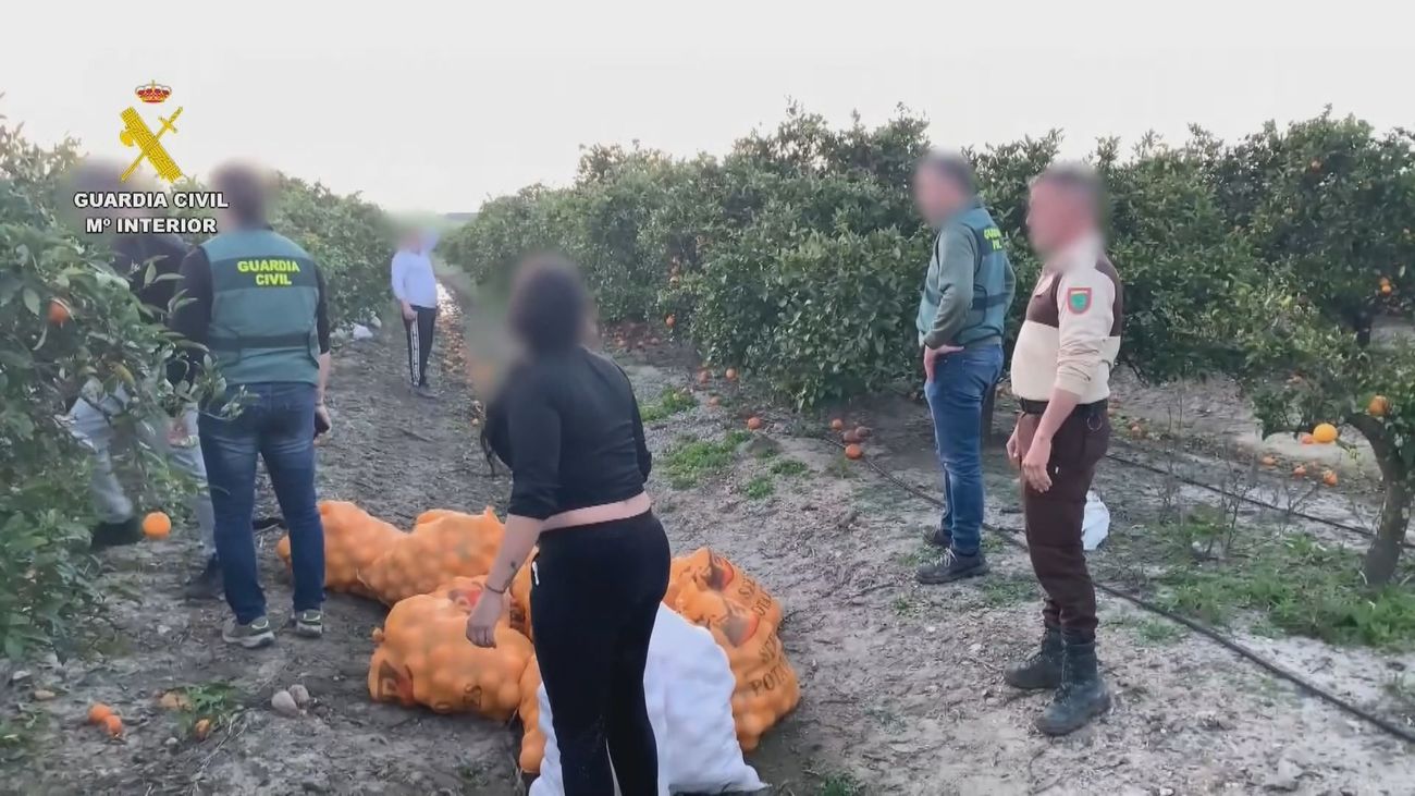 Entra en vigor este viernes la Ley de Multirreincidencia