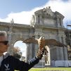 Dos águilas y un halcón ahuyentarán a palomas de la Puerta de Alcalá a partir del 1 de mayo