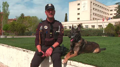 Alcalá estrena unidad canina para el control del menudeo  y venta de drogas en institutos