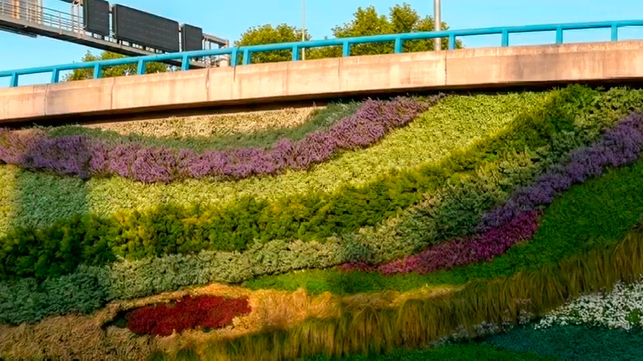 La M-30 tendrá nuevos jardines verticales en Ventas: 400 metros verdes en el tramo con más tráfico de Madrid
