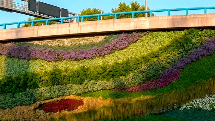 La M-30 tendrá nuevos jardines verticales en Ventas: 400 metros verdes en el tramo con más tráfico de Madrid