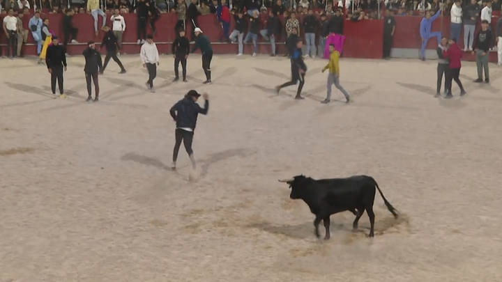 Malestar por el cambio de programación taurina en las fiestas de San Martín de la Vega