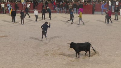 Malestar por el cambio de programación taurina en las fiestas de San Martín de la Vega