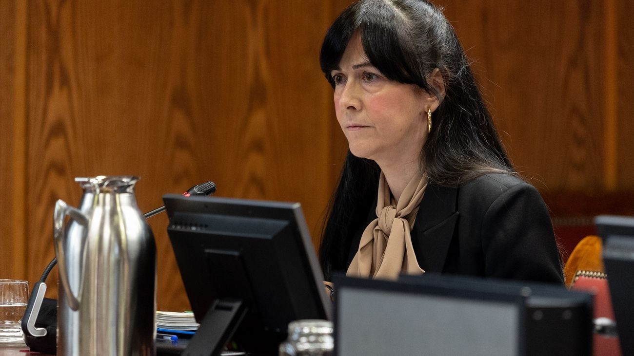 La presidenta de la SEPI niega irregularidades con Air Europa o Plus Ultra e injerencias externas