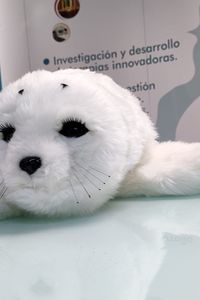 La foca-robot 'Nuka'