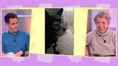 Una herencia con corazón: deja todo a su perra Mulán