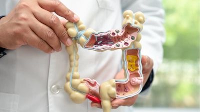 Las farmacias de Madrid dispensan más de 213.000 kits para prevenir el cáncer de colon en solo cuatro meses