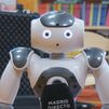 Robic, el robot que ayuda a niños con necesidades especiales y mayores