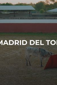 Enamorados de Madrid: Toros
