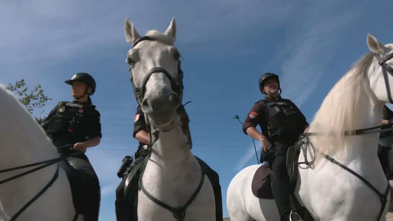 Más de 2.300 efectivos en Sevilla: así se blinda la final de Copa entre Atlético de Madrid y Real Sociedad