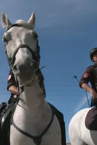 Más de 2.300 efectivos en Sevilla: así se blinda la final de Copa entre Atlético de Madrid y Real Sociedad