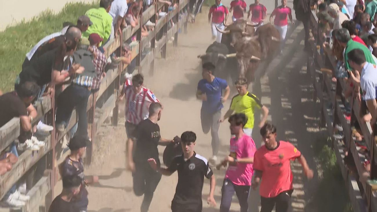 Talamanca del Jarama celebra sin incidentes sus encierros