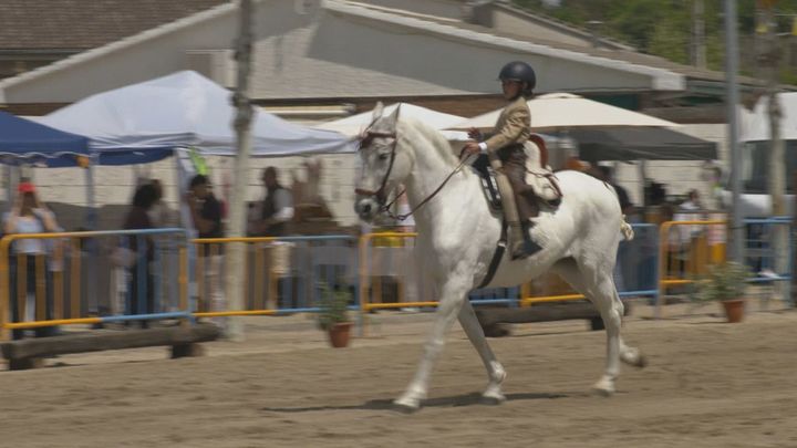 II Concurso de Doma Vaquera en Villamanta