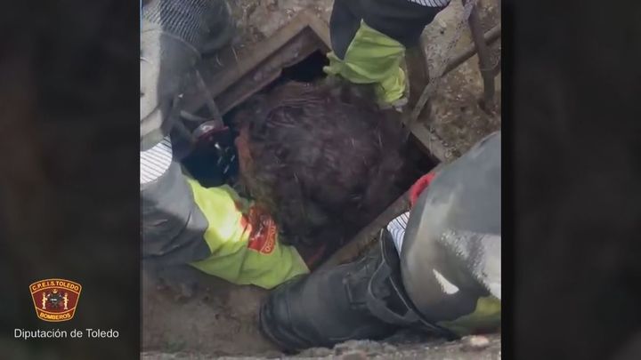 Rescate contrarreloj de un niño de 3 años que cayó a un pozo de 15 metros en Toledo
