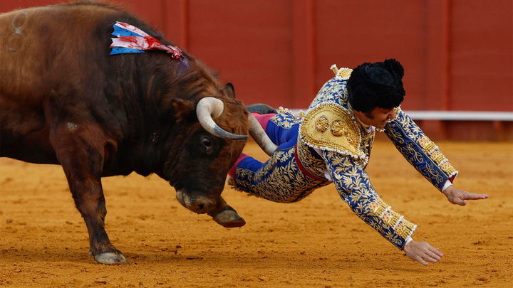 Morante de la Puebla herido en Sevilla por el cuarto toro de la corrida