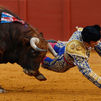 Morante de la Puebla herido de gravedad en Sevilla por el cuarto toro de la corrida