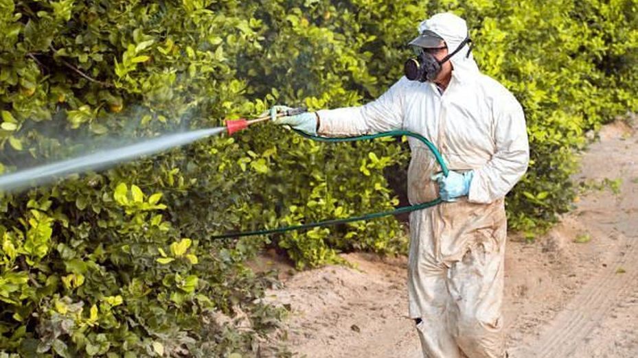 Relacionan dieta, tabaco o pesticidas con el cáncer de colon en menores de 50 años