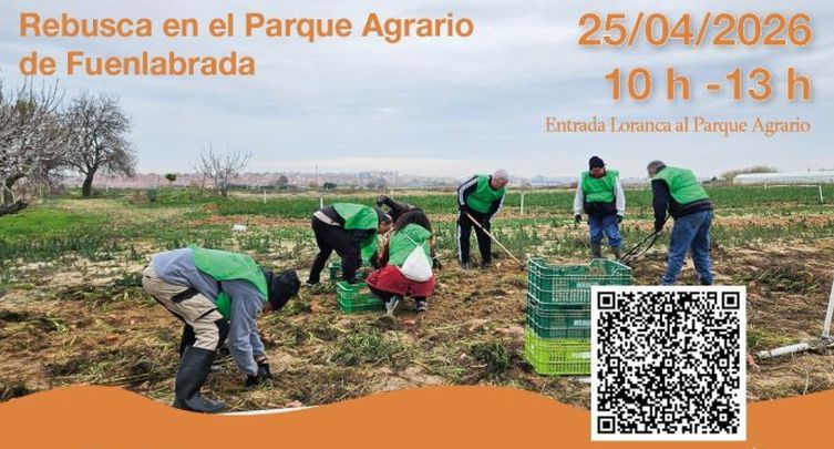 Cartel de la  jornada para espigar en el Parque Agrario de Fuenlabrada / Ayuntamiento de Fuenlabrada
