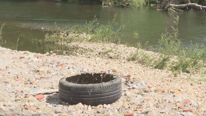Más de 100 voluntarios limpian el río Jarama