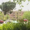 Los jardines de la Avenida de los Toreros se llamarán jardines de Miguel Ángel Moncholi