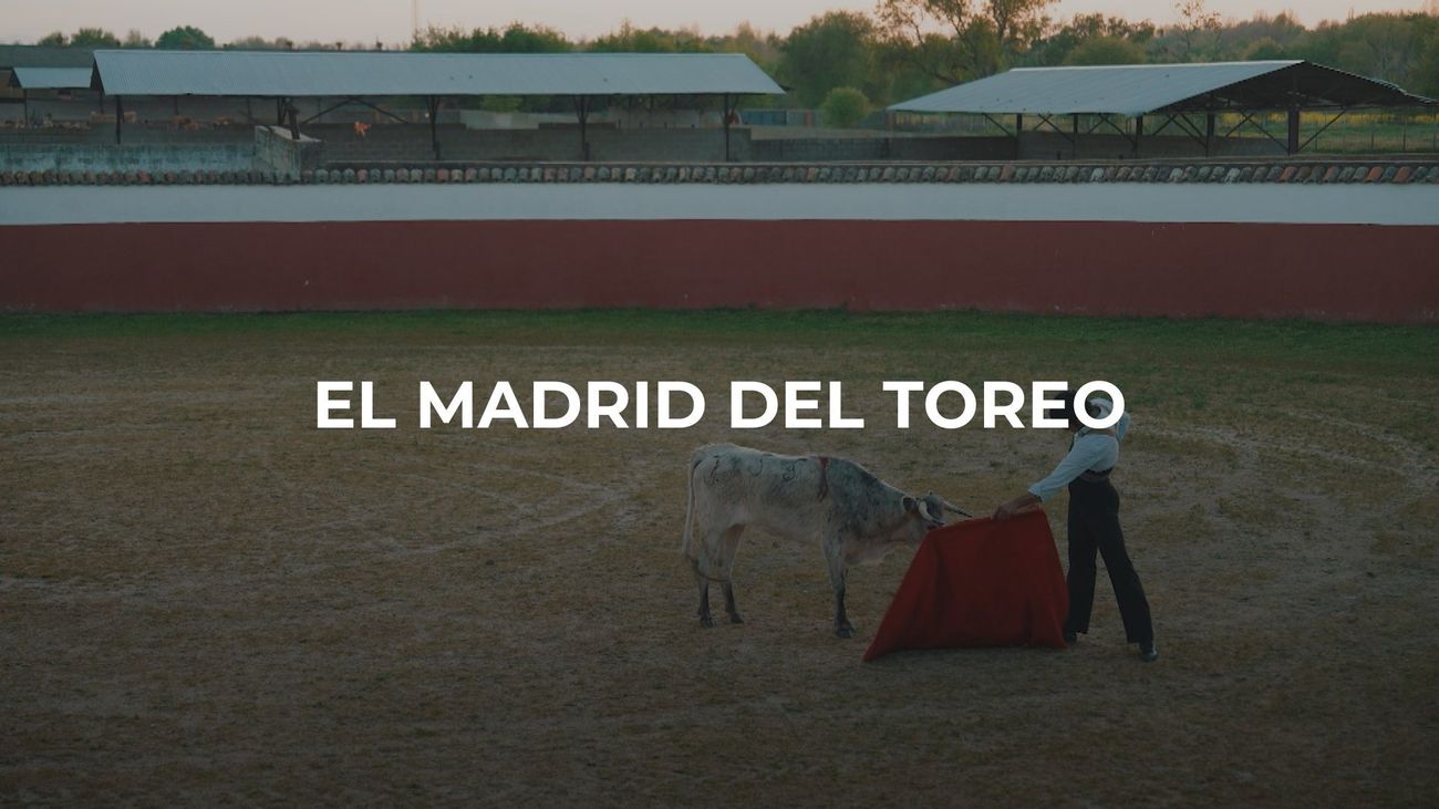 Enamorados de Madrid: Toros