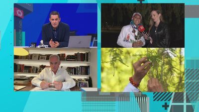 La historia detrás del matrimonio entre Richard, artista, y un árbol de El Retiro