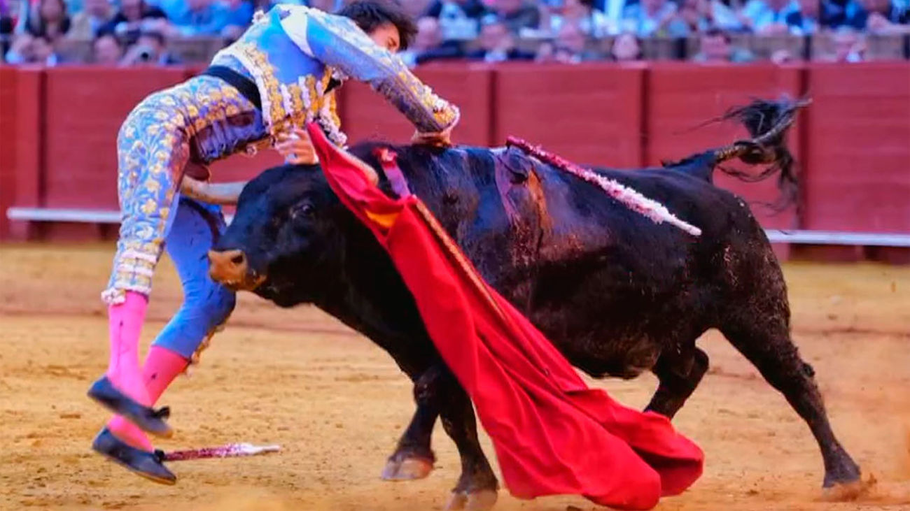 El torero Roca Rey, herido de gravedad en Sevilla, pasará a planta en las próximas horas