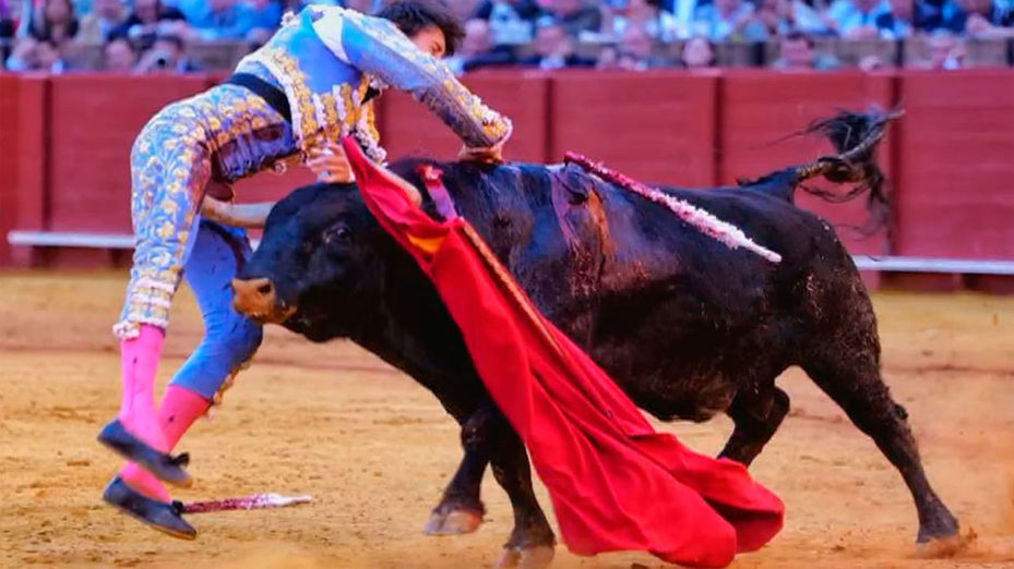 El torero Roca Rey, herido de gravedad en Sevilla, pasará a planta en las próximas horas