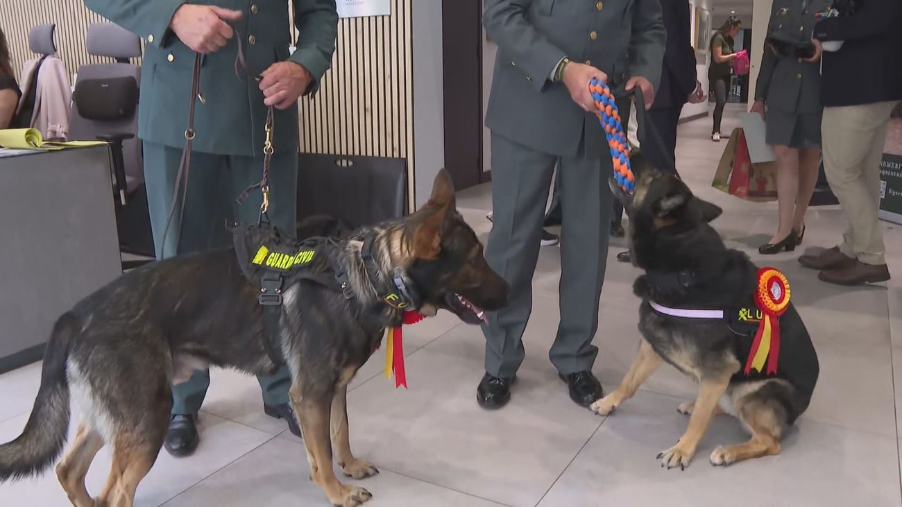 Los perros de la Guardia Civil se jubilan y son homenajeados