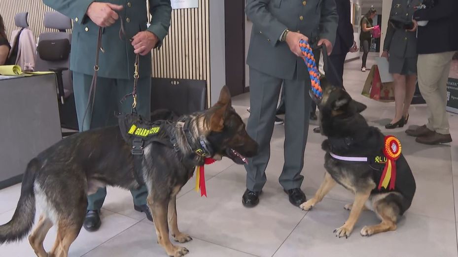 Los perros de la Guardia Civil se jubilan y son homenajeados