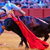 El torero Roca Rey, herido de gravedad en Sevilla, pasará a planta en las próximas horas