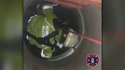 Rescatan a un perro tras caer a un pozo de seis metros en Alcorcón