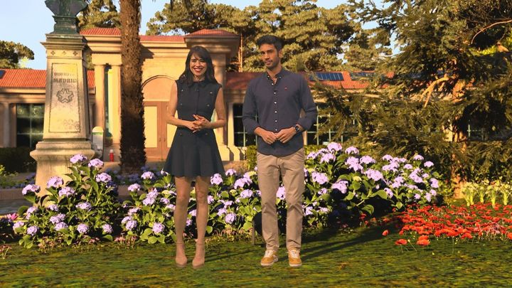 Disfruta la primavera 26.04.2026