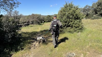 La Comunidad busca cebos envenenados en montes y terrenos de caza de la región