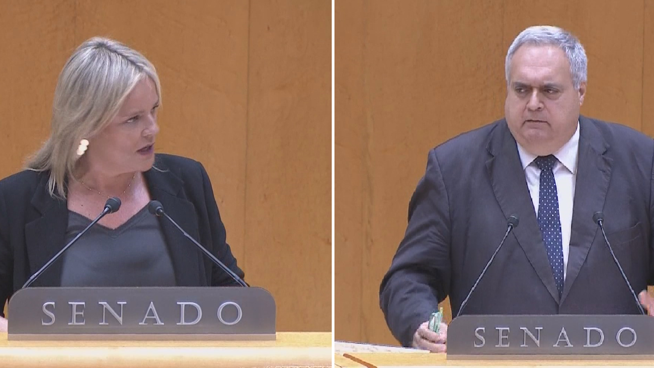 Reproches en el Senado por Miguel Ángel Blanco y la política penitenciaria en el País Vasco