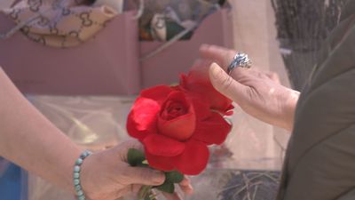 Historia, fuegos y un mercado con 140 puestos dan el pistoletazo de salida a las Fiestas del 2 de Mayo en Móstoles