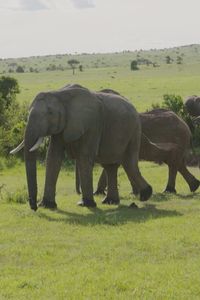 Suroeste de Kenia: tierra de contrastes, culturas ancestrales y animales salvajes