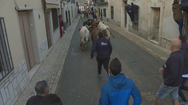 Colmenar de Oreja celebra sus encierros declarados de Interés Turístico regional con carácter solidario