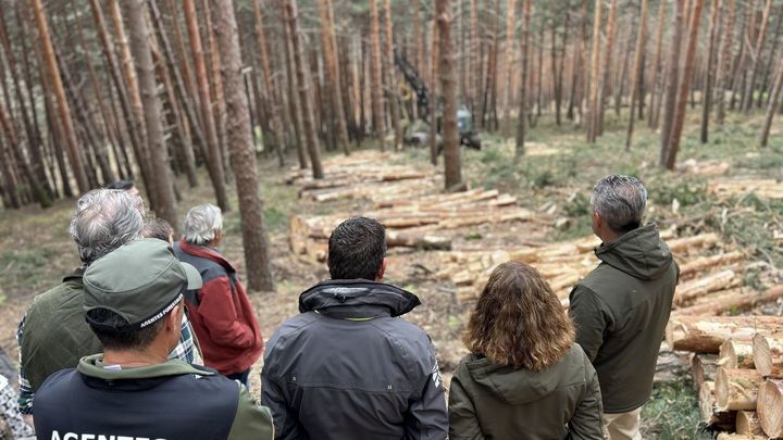 Gascones aprovecha la madera de sus montes y evita incendios forestales