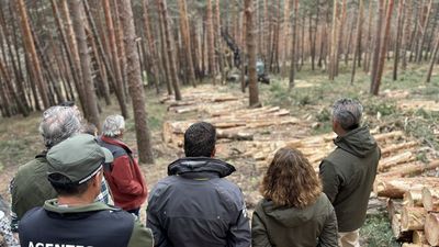 Gascones aprovecha la madera de sus montes y evita incendios forestales