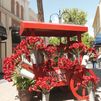 Las Rozas Village se viste de castizo: abanicos, claveles y banderillas en un homenaje a Madrid