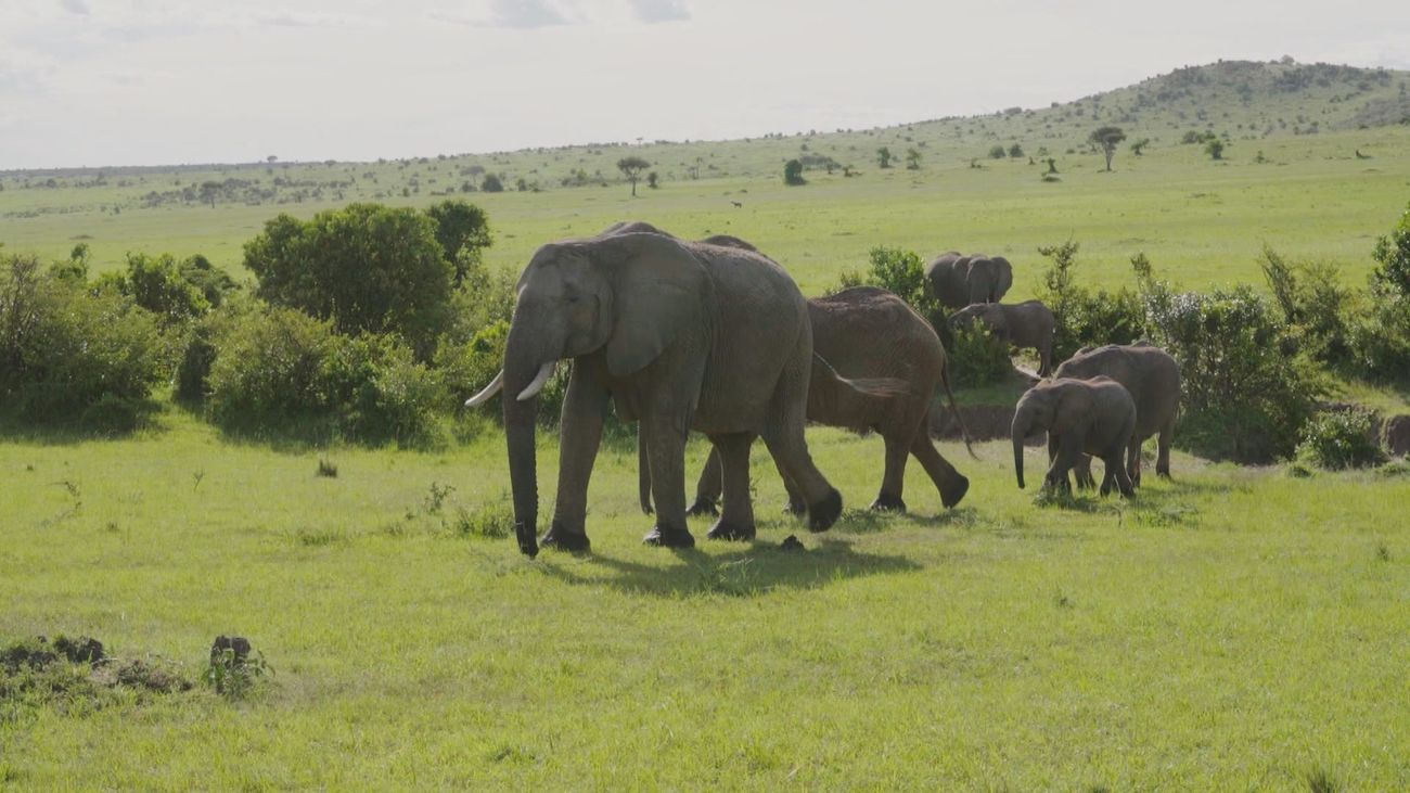 Suroeste de Kenia: tierra de contrastes, culturas ancestrales y animales salvajes