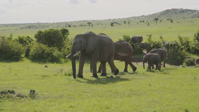 Suroeste de Kenia: tierra de contrastes, culturas ancestrales y animales salvajes