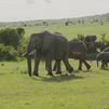 Suroeste de Kenia: tierra de contrastes, culturas ancestrales y animales salvajes