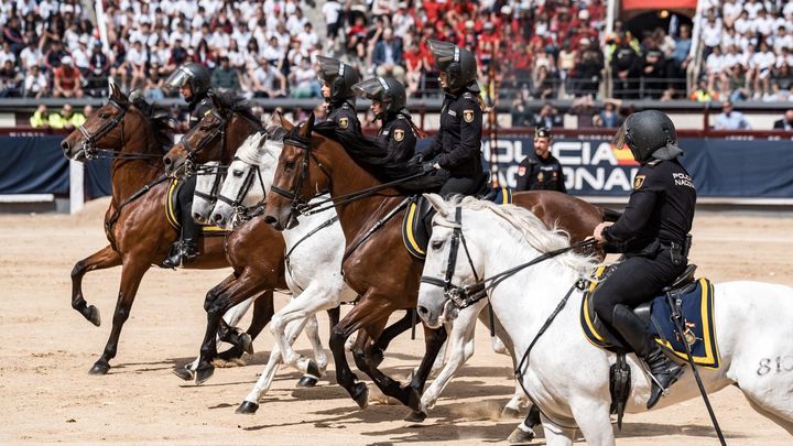 Caballería, guías caninos, TEDA-X, GEO... La Policía Nacional exhibe sus unidades operativas en Las Ventas