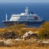 Confirman que el hantavirus que causó 3 muertes en un crucero es de la cepa transmisible entre humanos