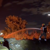 Bomberos de Alcorcón extinguen un incendio forestal en una finca particular