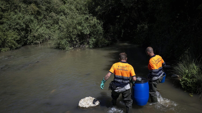 Madrid refuerza la recuperación del Manzanares con peces autóctonos
