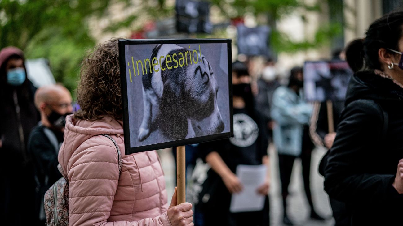 Manifestación por la liberación de los animales de Laboratorios Vivotecnia